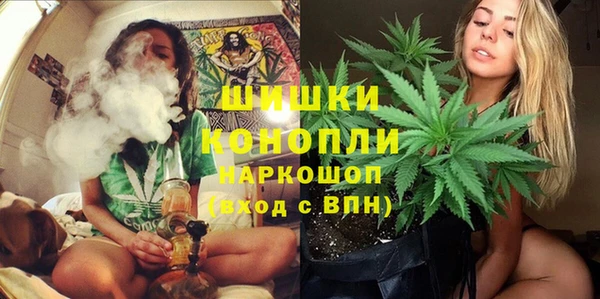 гашик Балахна