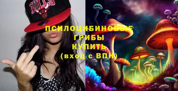 гашик Балахна