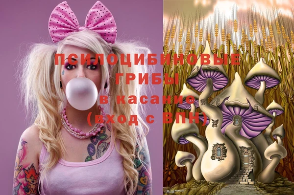 гашик Балахна