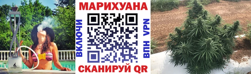 Марихуана Bruce Banner Кунгур